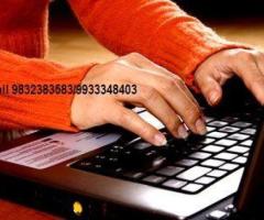 Royal Info Service Offered